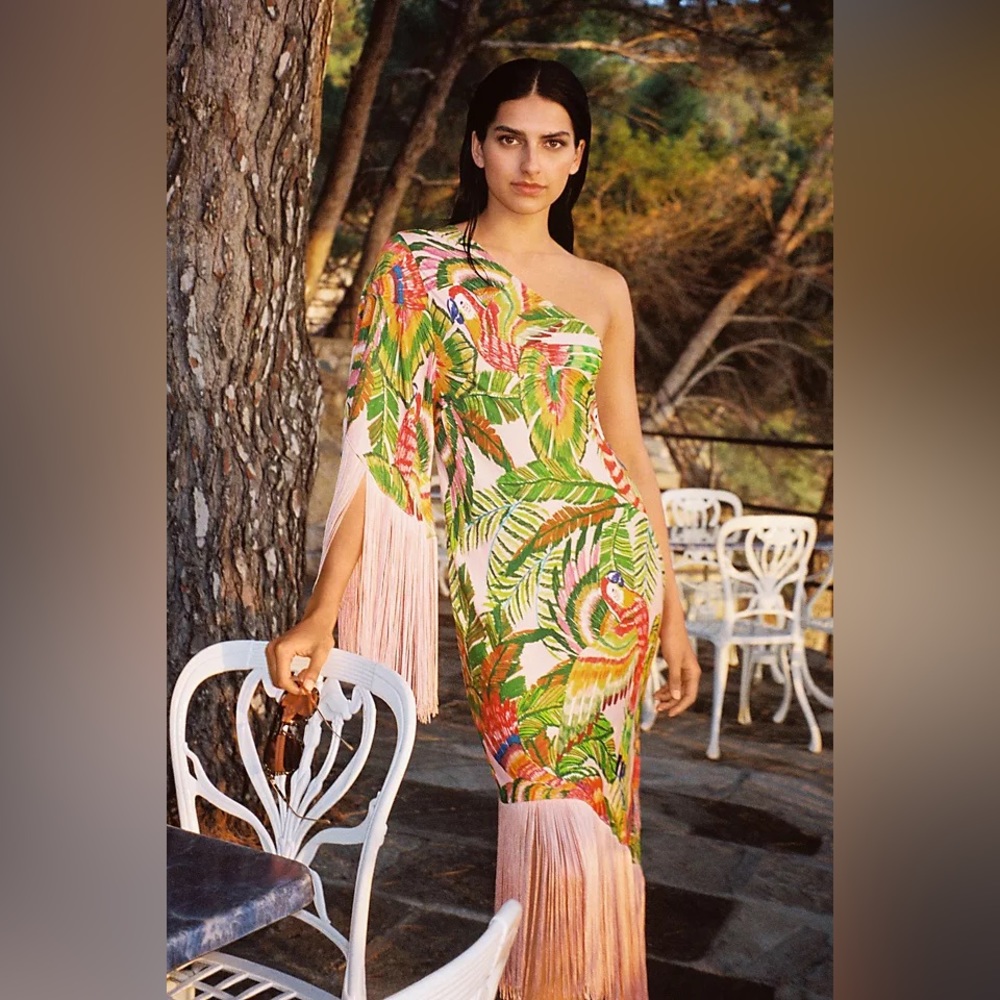 Farm Rio Fringe dress